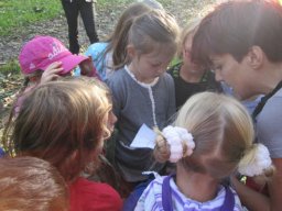 03_waldwandertag_1a_2011