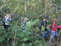 09_waldwandertag_1a_2011