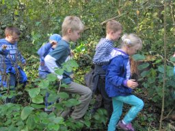 10_waldwandertag_1a_2011