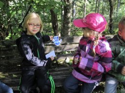 16_waldwandertag_1a_2011