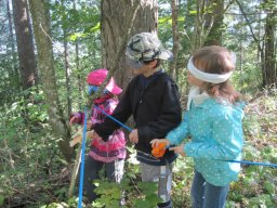 17_waldwandertag_1a_2011