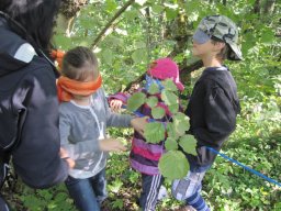 18_waldwandertag_1a_2011