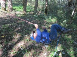 25_waldwandertag_1a_2011