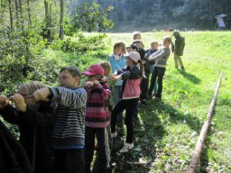 28_waldwandertag_1a_2011