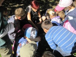 29_waldwandertag_1a_2011