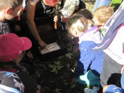 30_waldwandertag_1a_2011