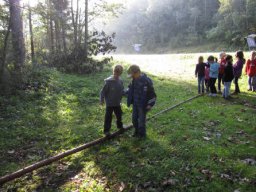 05_waldwandertag_1c_2011