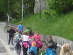 64_nordicwalking