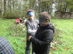 04_waldwandertag_3c_2011