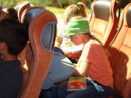 52_lammertaler_urwald