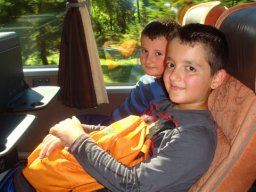 53_lammertaler_urwald