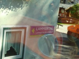 55_lammertaler_urwald