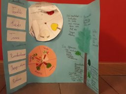 05_lapbook_wald