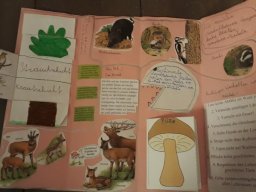 06_lapbook_wald