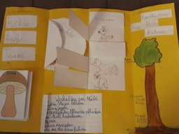 07_lapbook_wald