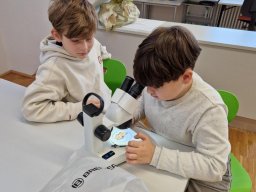 04_mikroskopie
