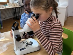 19_mikroskopie