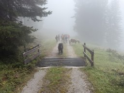 15_wandertag_habersatt_buegerbergalm
