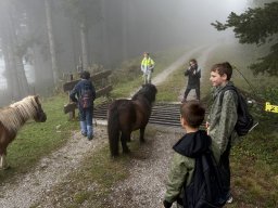 16_wandertag_habersatt_buegerbergalm