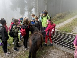 17_wandertag_habersatt_buegerbergalm