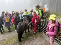 18_wandertag_habersatt_buegerbergalm