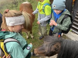 19_wandertag_habersatt_buegerbergalm
