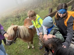 20_wandertag_habersatt_buegerbergalm